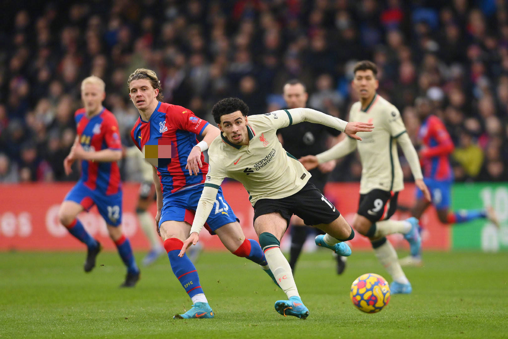 生涯轨迹的 生涯轨迹的